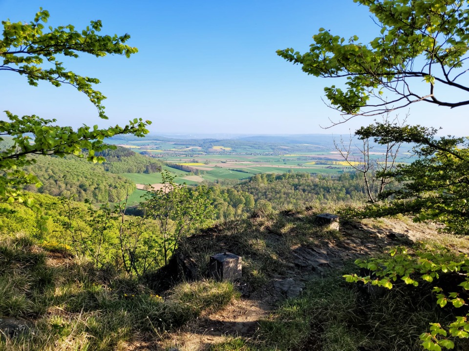 Coaching Hameln
