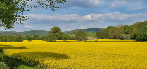 Seminare Weserbergland Achtsamkeit Hameln